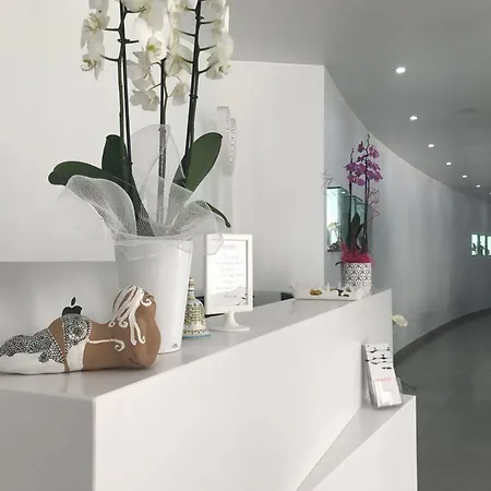 Quihotel فندق بورتو سيساريو