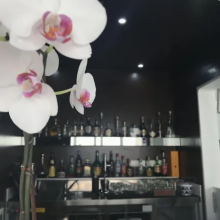 Quihotel بورتو سيساريو